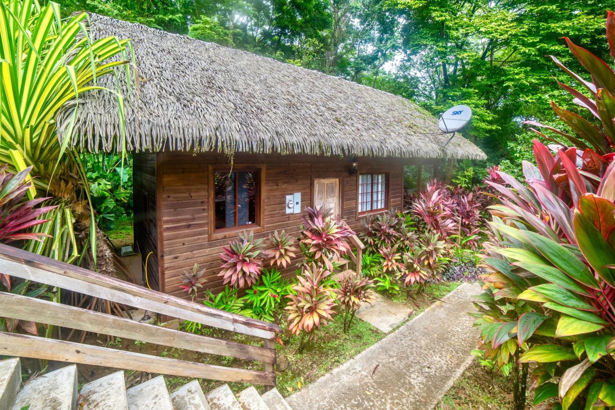 Red Frog Beach Island Resort Bocas del Toro Exterior foto